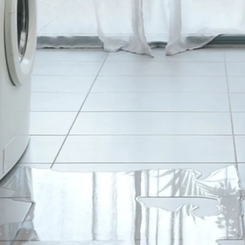 Appliance Leak Cleanup in Winthrop, MN