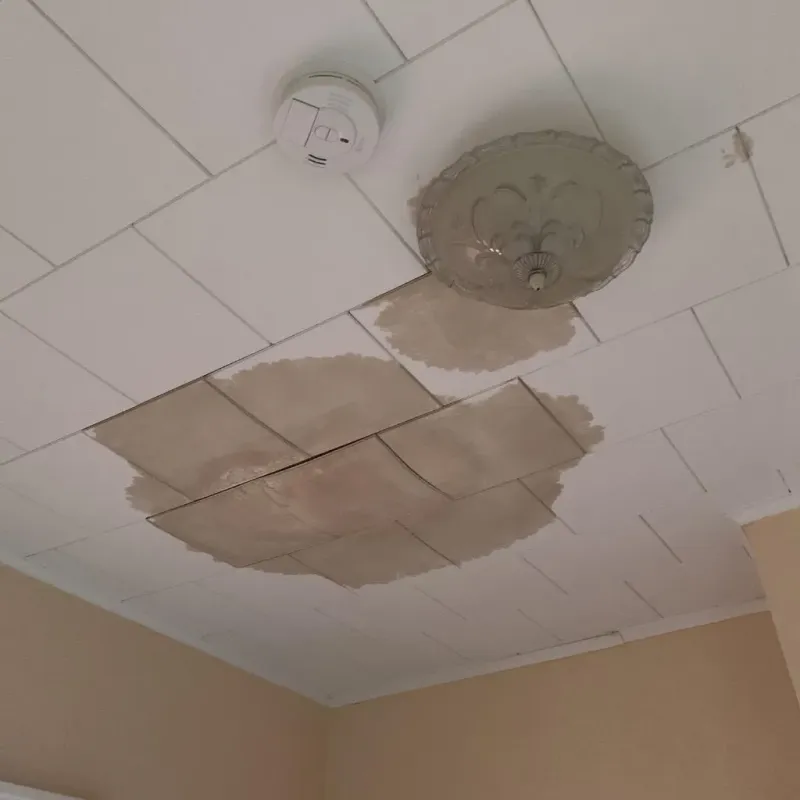 Ceiling Water Damage Repair in Winthrop, MN
