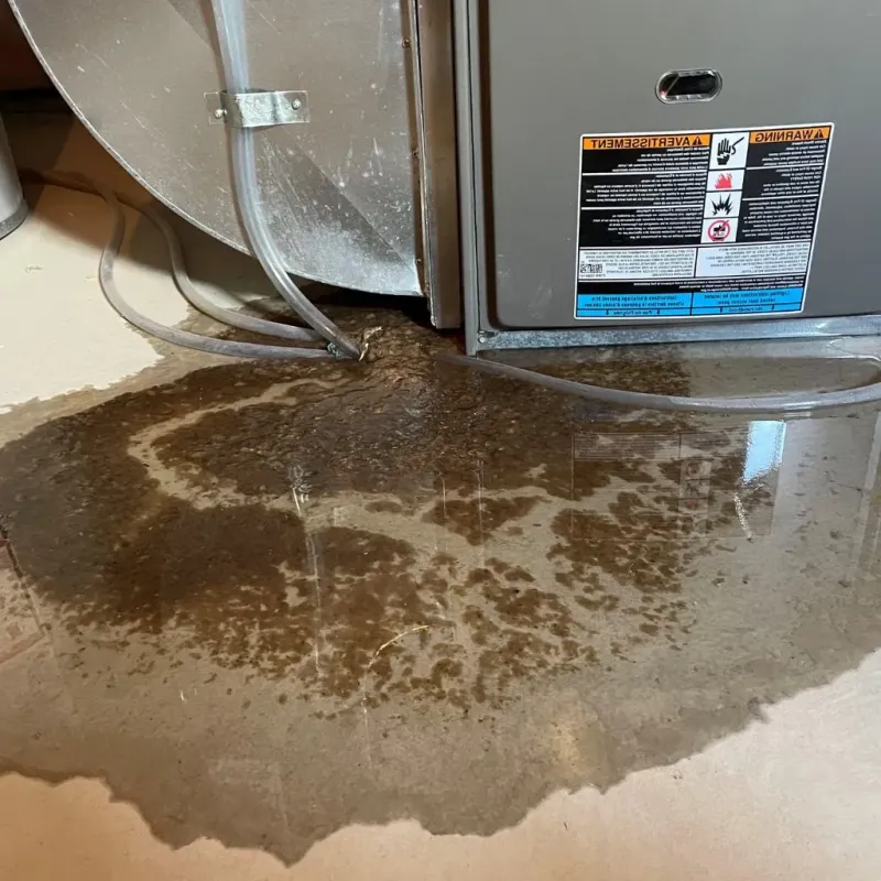 Pipe Burst and Leak Restoration in Winthrop, MN