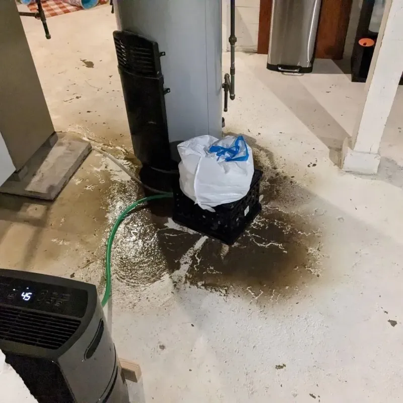 Sewage Backup Cleanup Service in Winthrop, MN